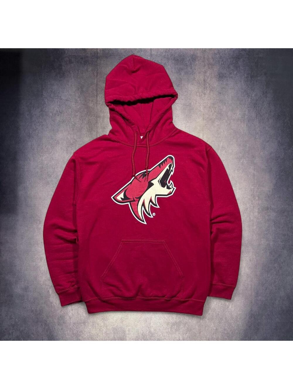 Vintage Arizona Coyotes Hoodie
